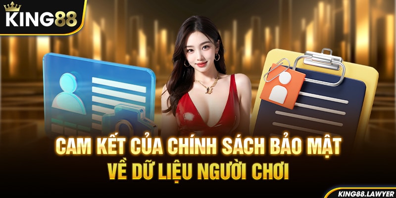 Chính sách giúp các dữ liệu cá nhân được bảo vệ tốt nhất tại King88